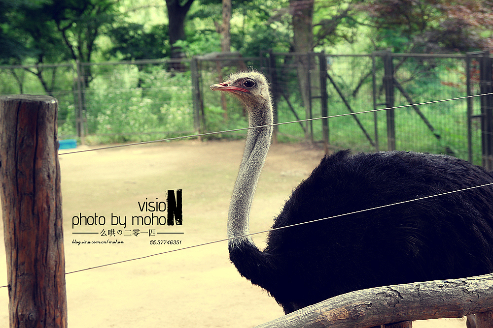 【2014游】猫眼看青岛