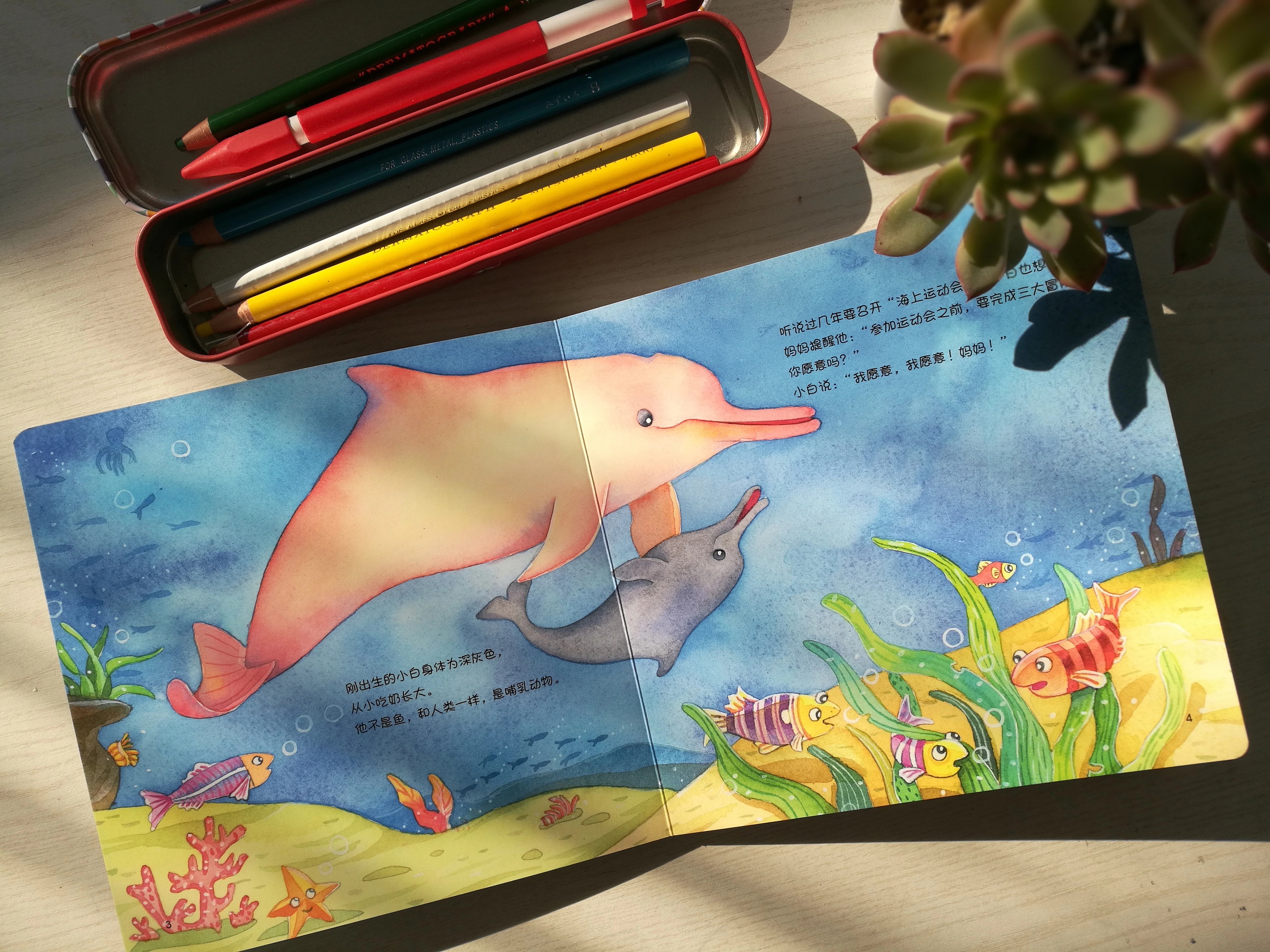 可爱的海豚简笔画如何画_海洋动物视频