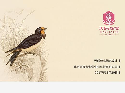 天后燕窝-即食燕窝包装设计