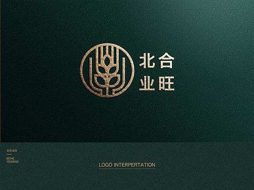 北合业旺VIS