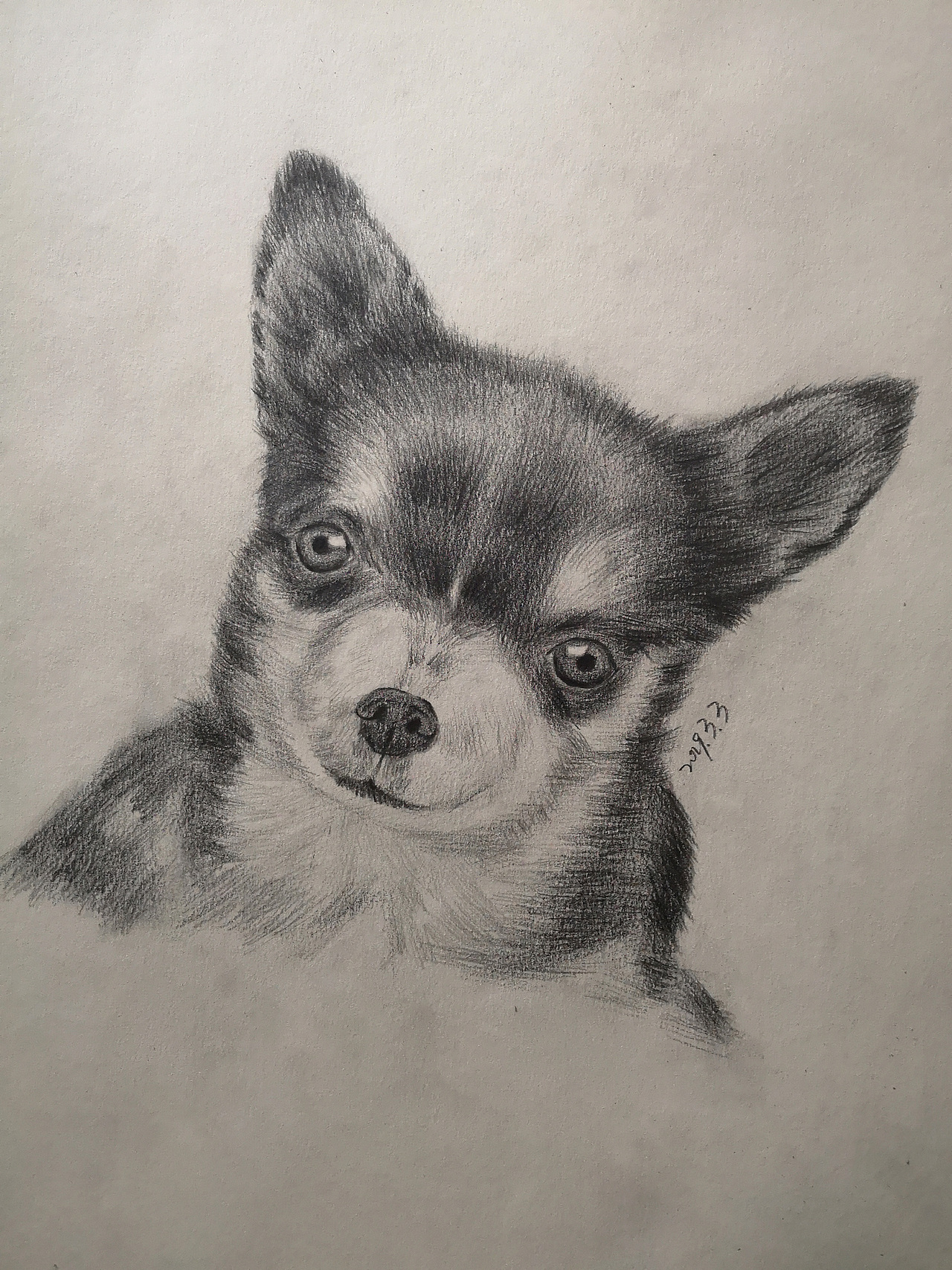 早期画的几只小动物（图ZMjE3MDEyNTgw） - 绘画 - 站酷设计师打工人打工塊原创素材 - 站酷ZCOOL