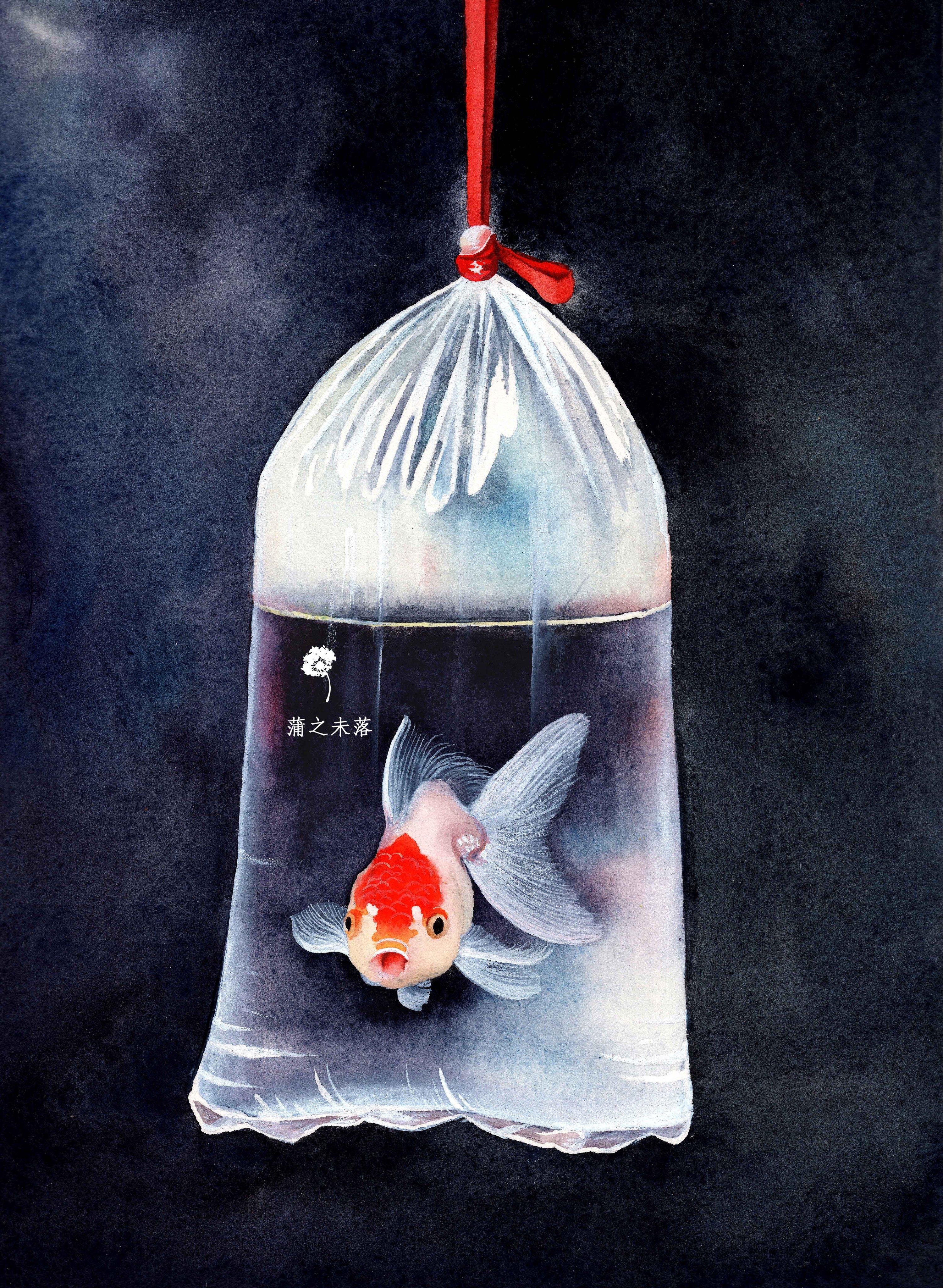 水彩绘一小金鱼