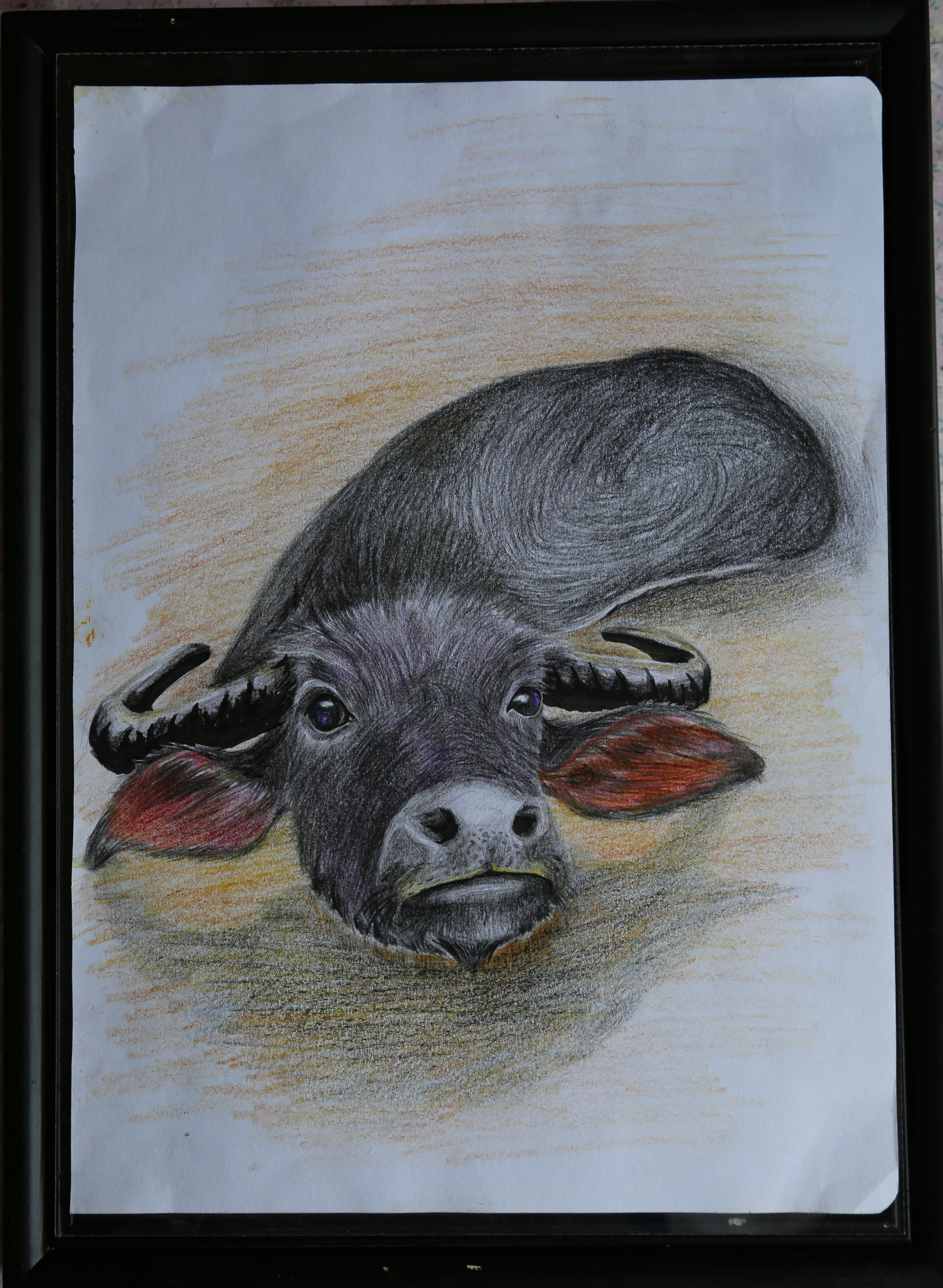 牛的彩铅画图片大全集图片