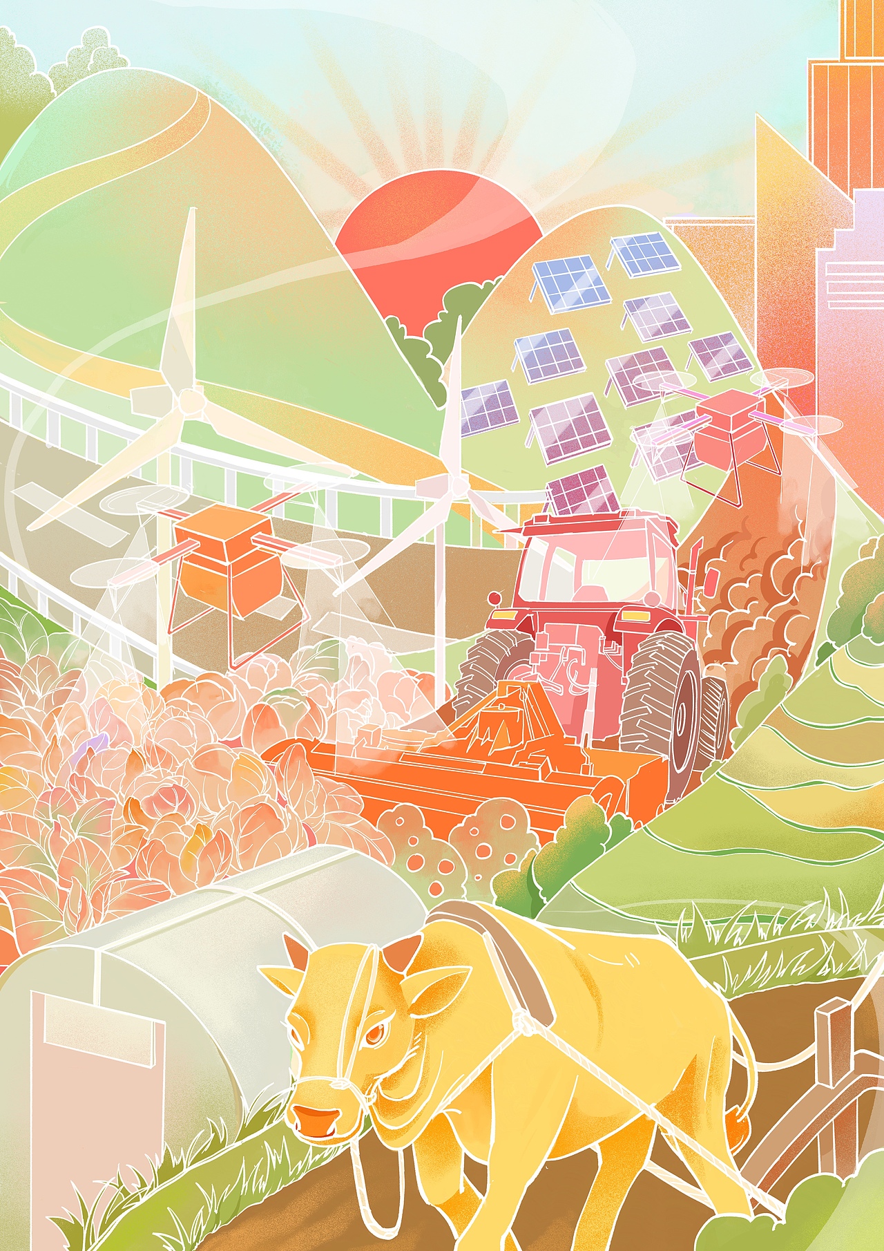 乡村振兴战略带来的改变