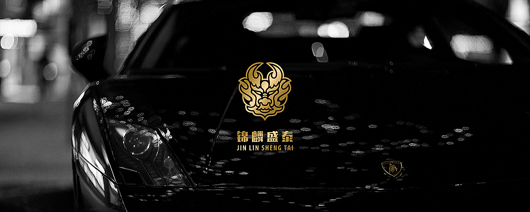 logo设计整合（图ZMTE5OTczOTc2） - Logo - 站酷设计师胡彪原创素材 - 站酷ZCOOL
