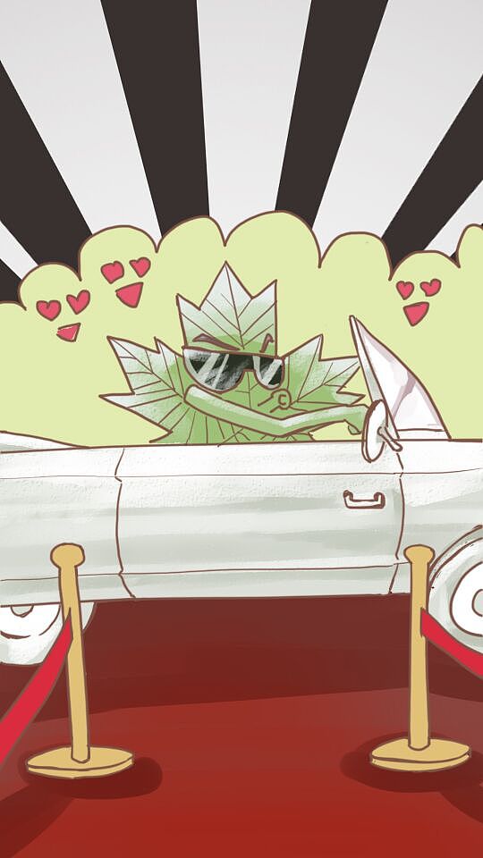 <ONE SHOW>腾讯微视命题参赛作品