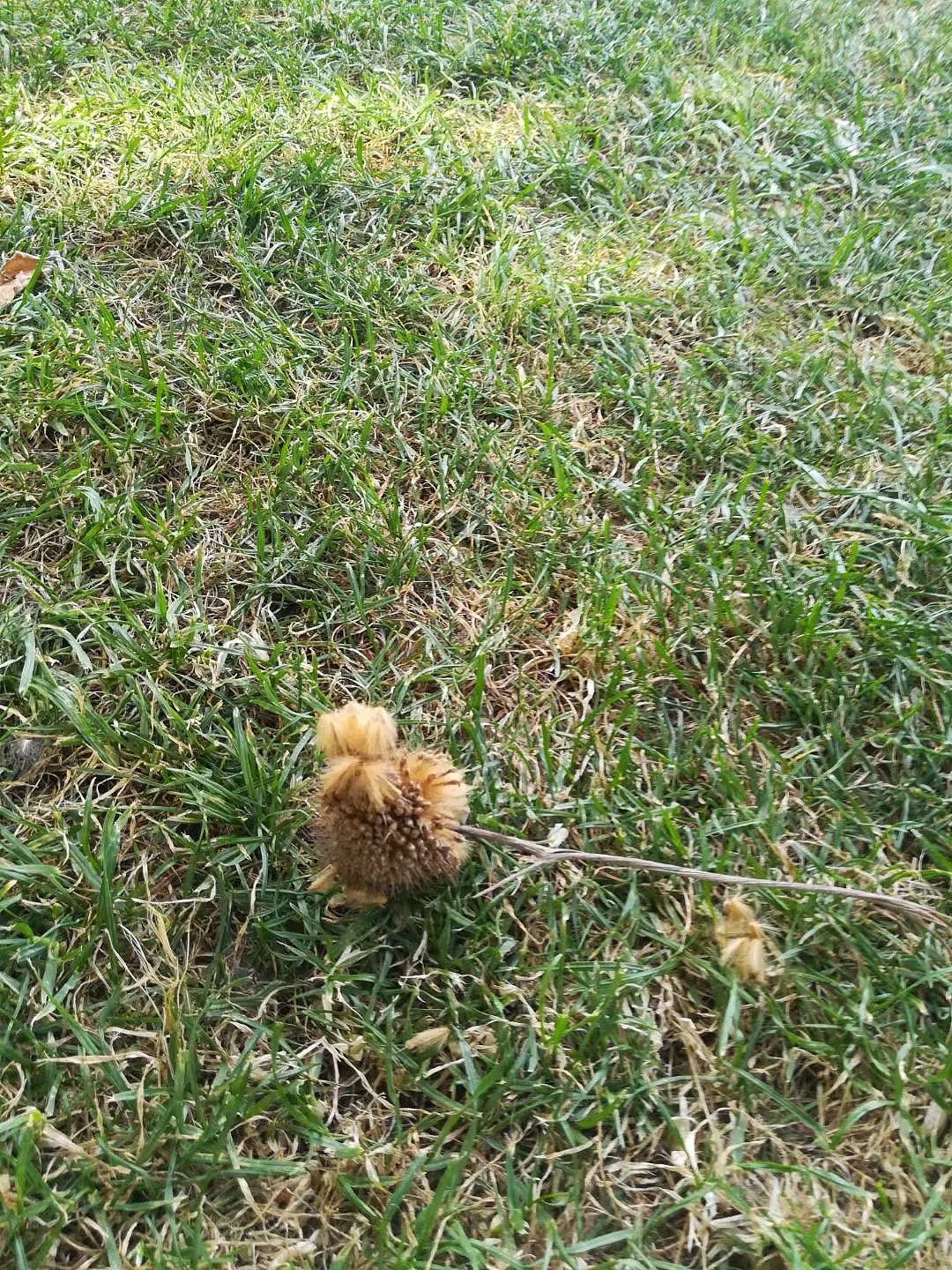 渺小（图ZMTMyODQwNzE2） - 环境/建筑摄影 - 站酷设计师过云雨微笑原创素材 - 站酷ZCOOL