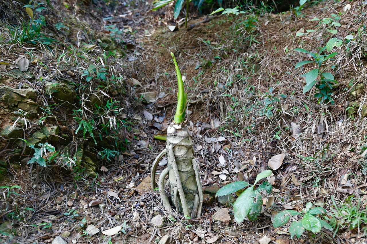 摄影（图ZMTUwNzUzNzE2） - 风光摄影 - 站酷设计师Sharman原创素材 - 站酷ZCOOL