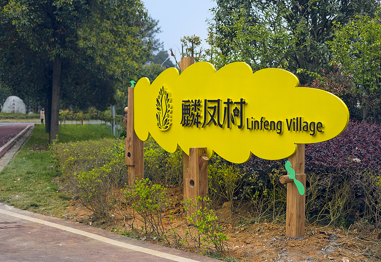 我为村里做设计