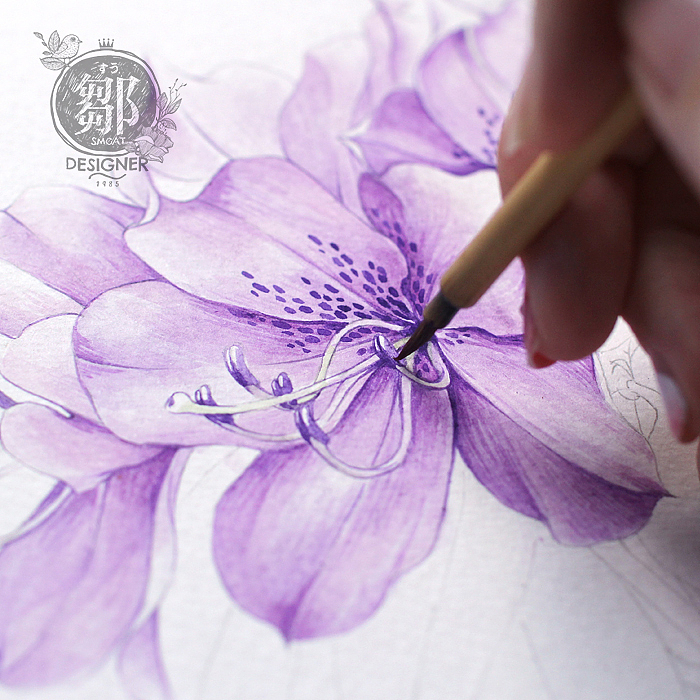 杜鹃花系列——马银花（图ZNzc5OTI5MjQ=） - 商业插画 - 站酷设计师鄒慶原创素材 - 站酷ZCOOL