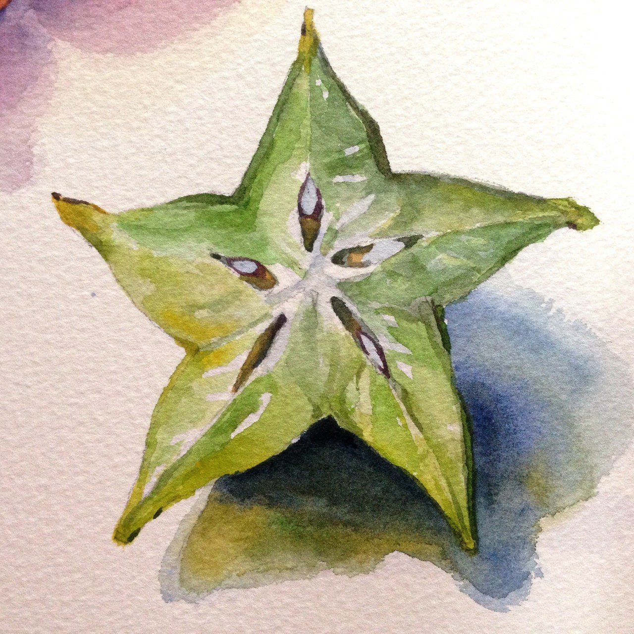 水彩插画全日课堂示范——海星