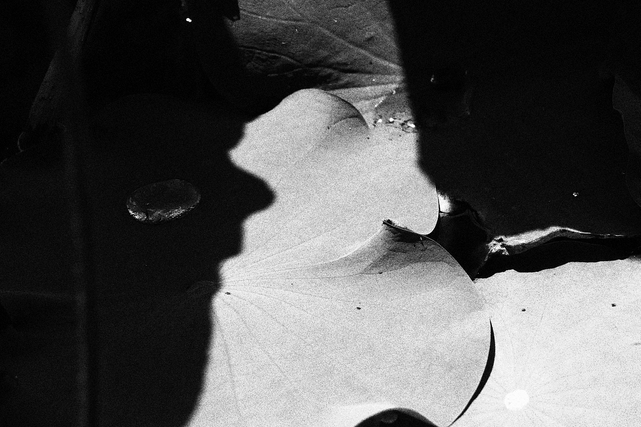 记录下来 即为永恒