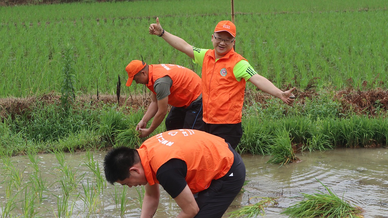 阿味大虾火锅连锁品牌素材图 - 素材网