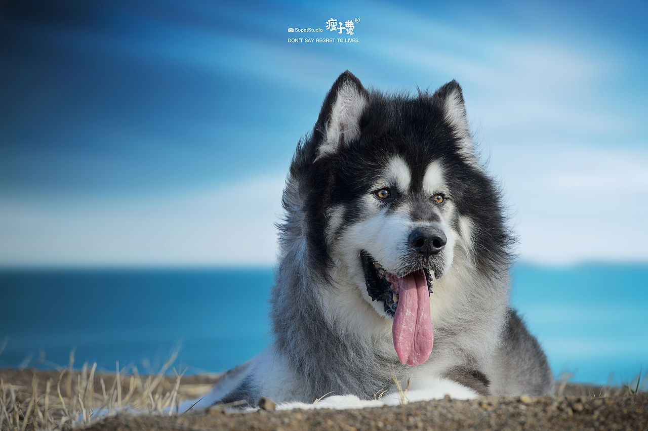 瘦子费 | 『厦门站』