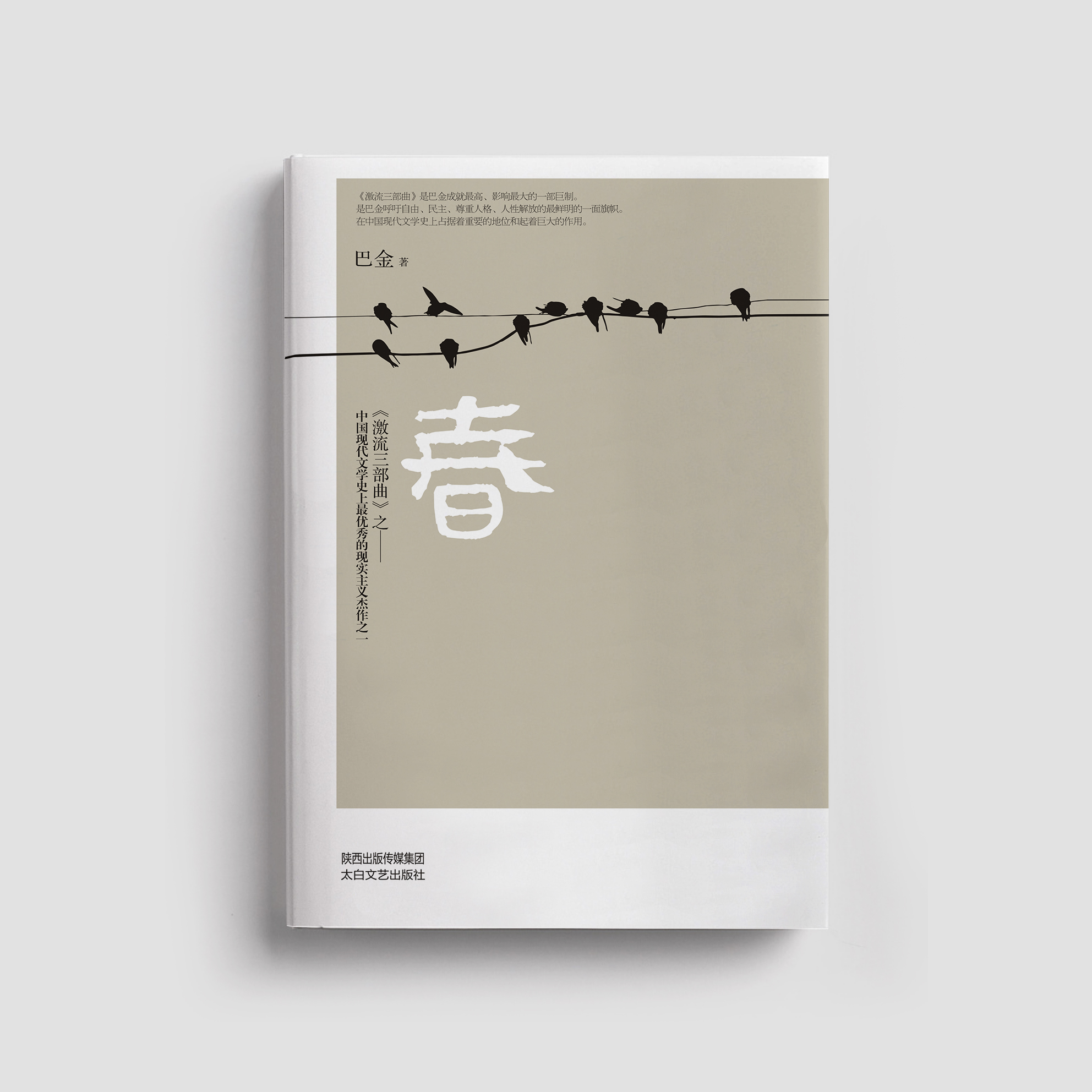 简单的书籍封面设计图片