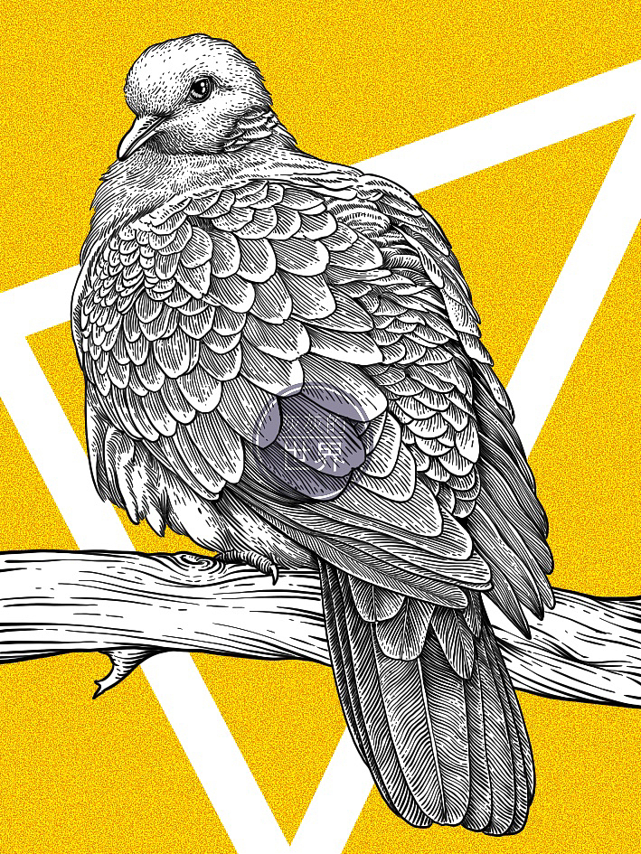 《自然之歌》-百鸟齐鸣节选（更新中）（图ZMzM1MDQ1ODQ4） - 艺术插画 - 站酷设计师灰灰的世界原创素材 - 站酷ZCOOL