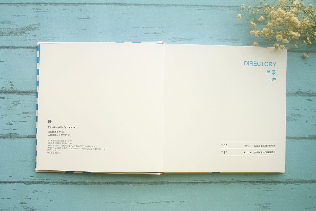 SIA冰淇淋 【VI手册】