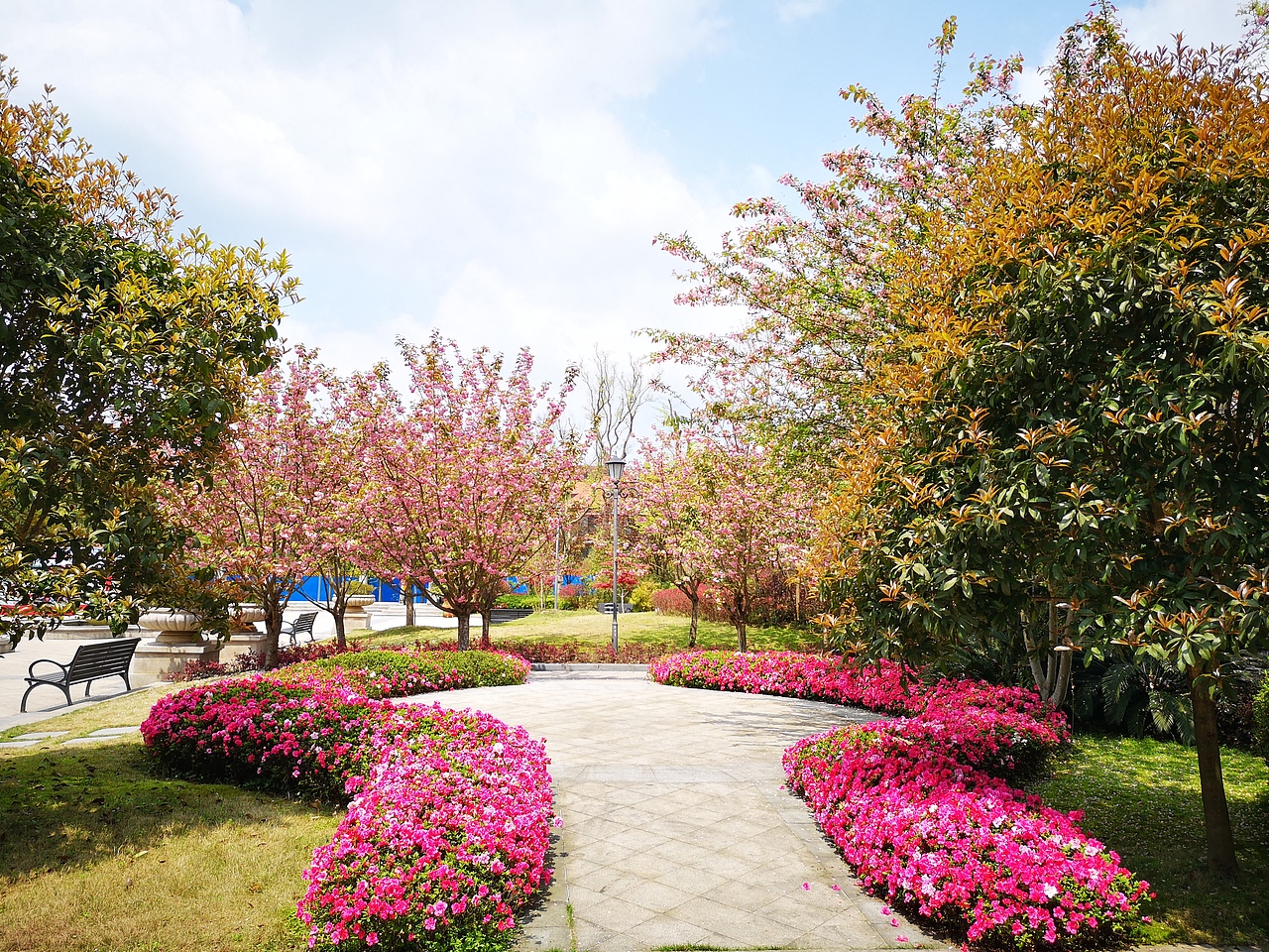 2019红帽子皮划艇俱乐部(拓展,团建)活动照片