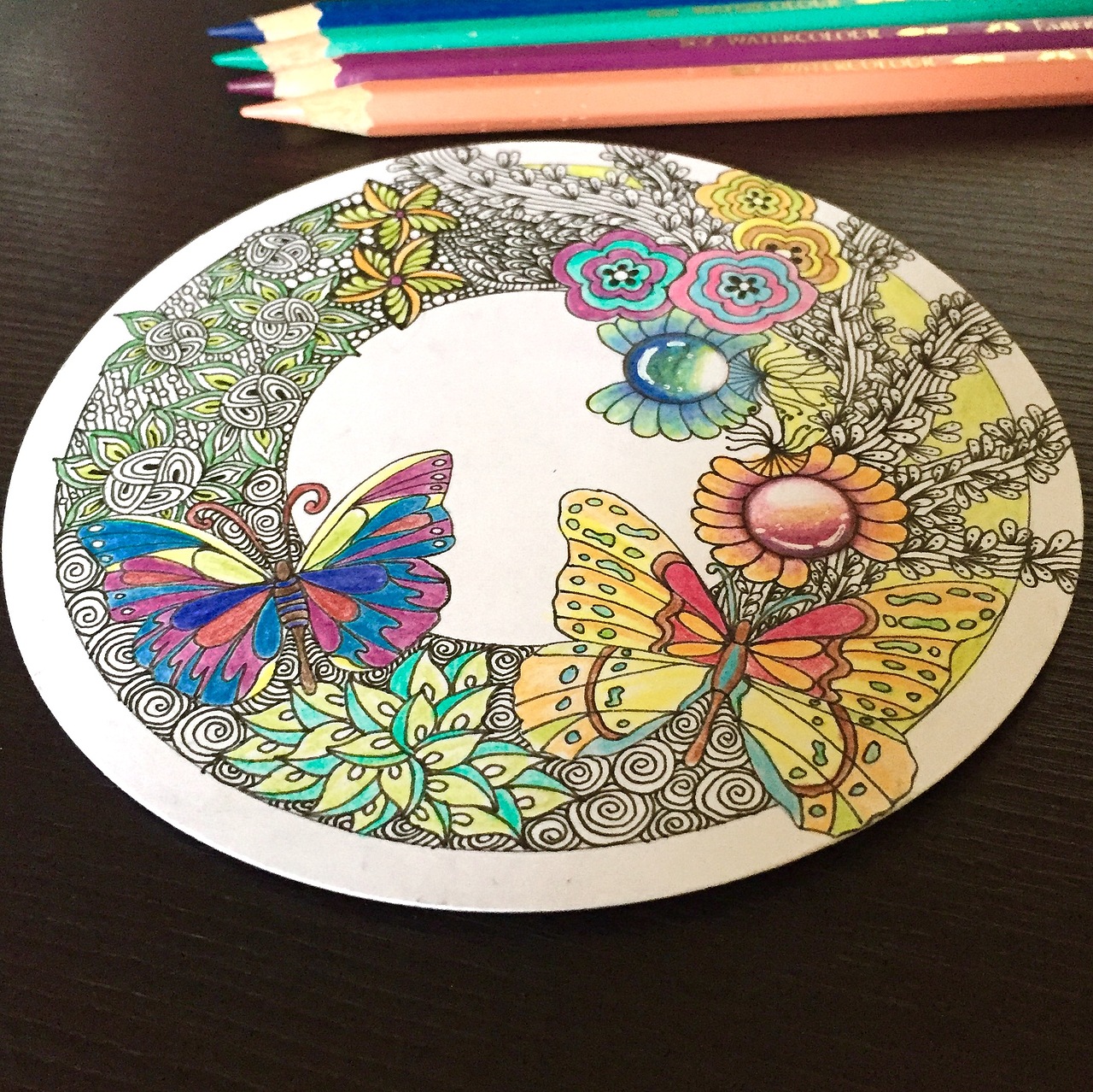 插画 线描 彩色 线条 装饰画 点线面 蝴蝶