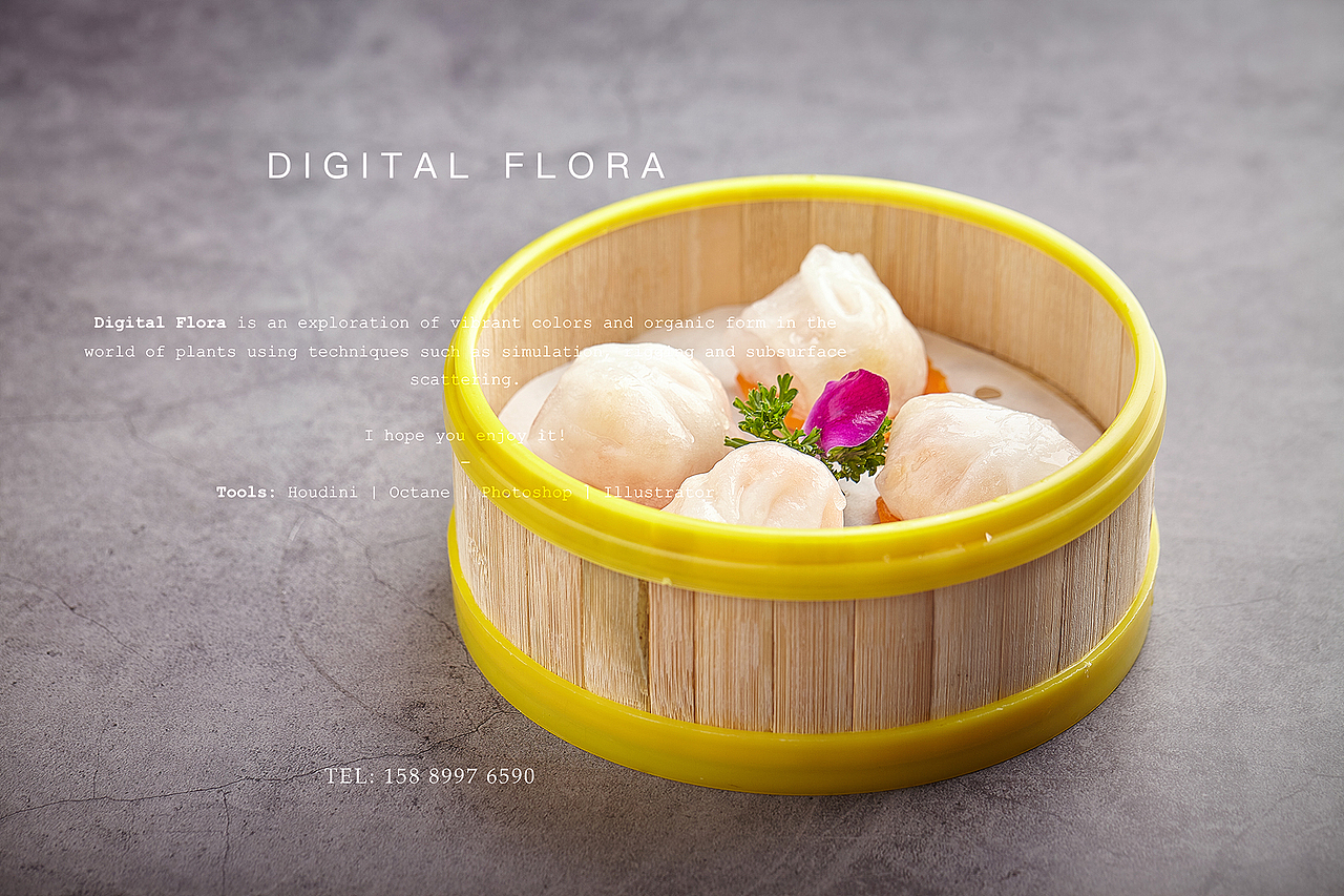 广州餐饮摄影 美食摄影 菜品拍摄 正摄影15889976590