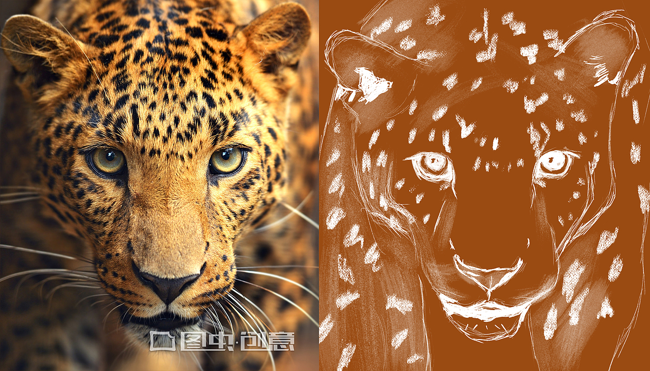 插画练习-豹（图ZMTgzOTUzMDgw） - 创作习作 - 站酷设计师西黛伯伯原创素材 - 站酷ZCOOL