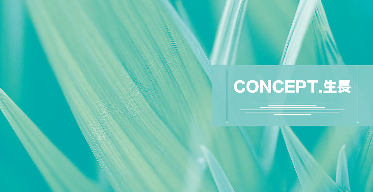 媚眼荟×品牌视觉解决方案（壹）#胡子＃品牌设计师