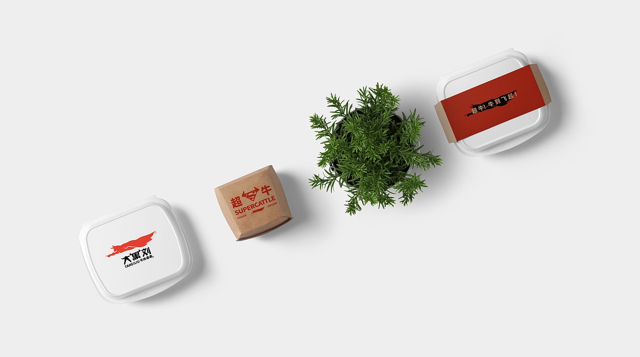 TORTOISE | 品牌集伍（图ZMTI3MzA5MDMy） - 品牌 - 站酷设计师反光品牌Studio原创素材 - 站酷ZCOOL
