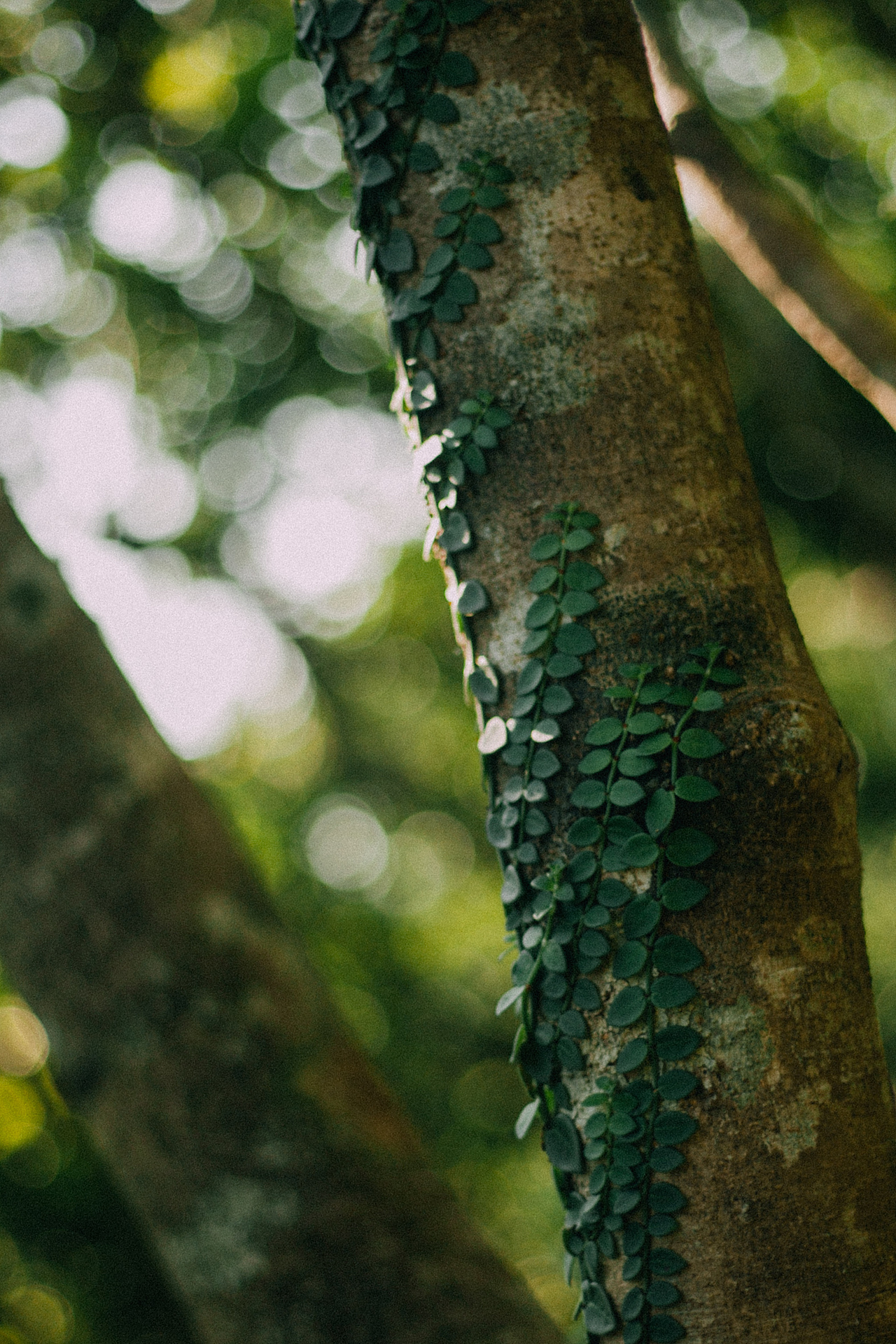 田园·农场·山野