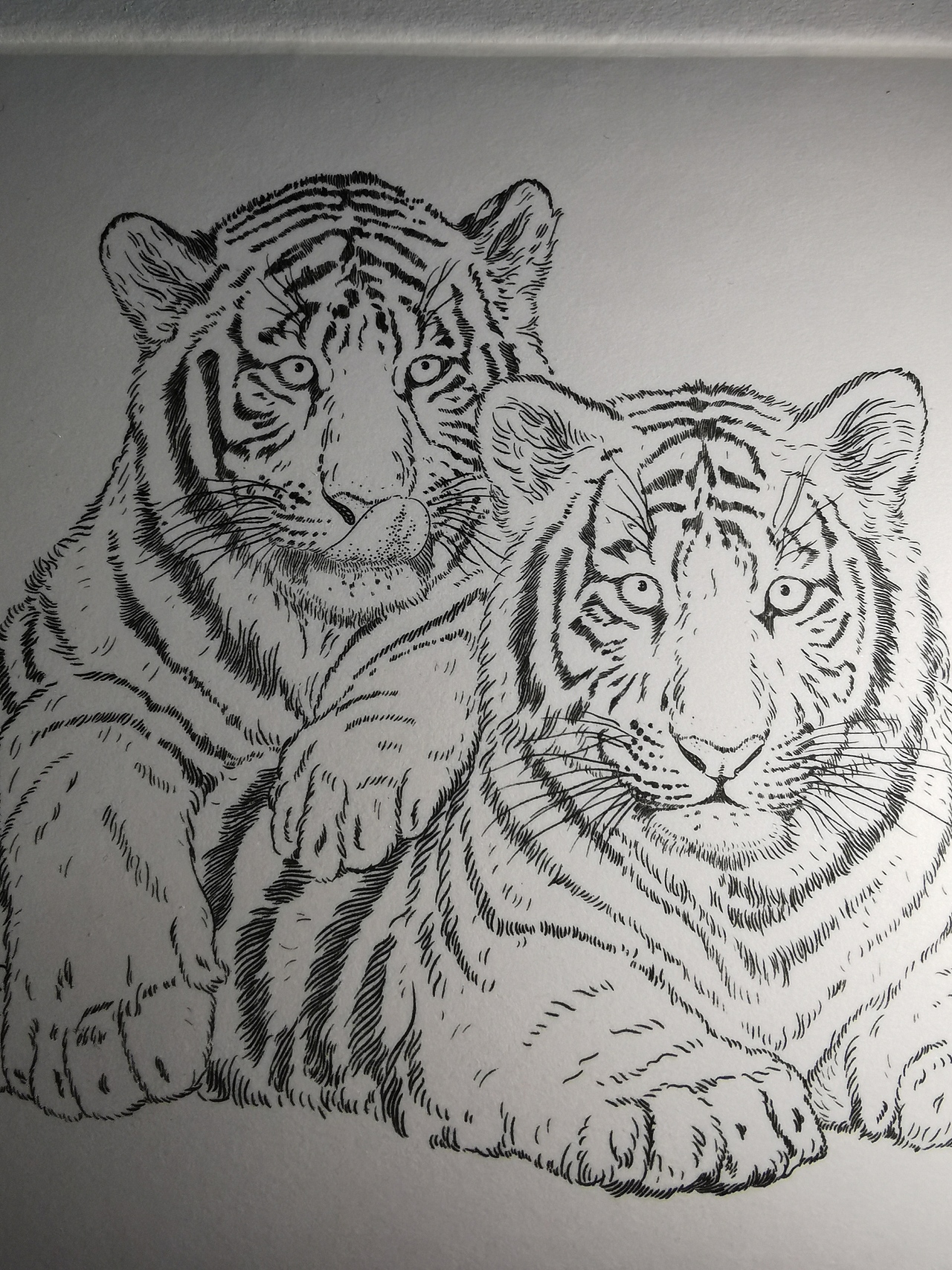 凹版雕刻《壬寅虎》