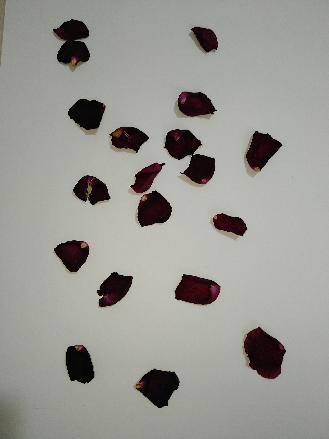 干花装饰画（图ZMTI0ODU4MTU2） - 工艺品设计 - 站酷设计师g007995原创素材 - 站酷ZCOOL