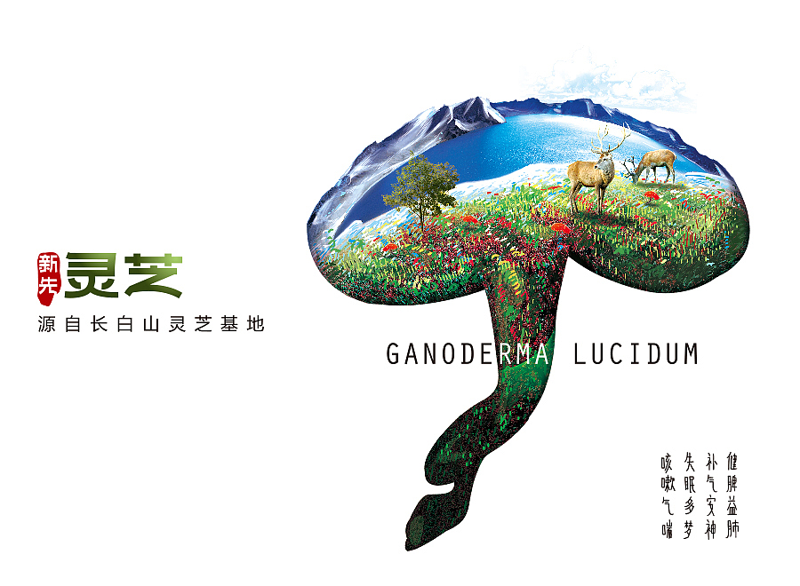 新先灵芝包装设计