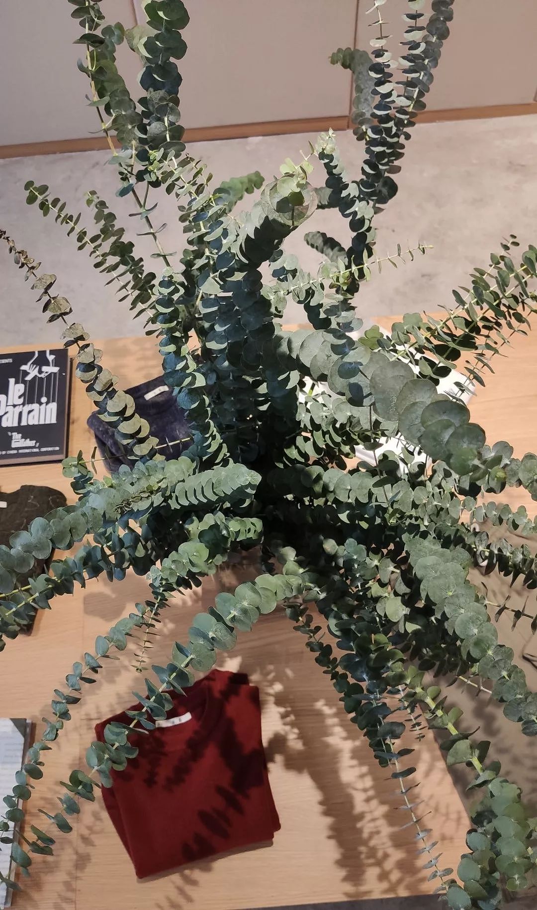 【灵想空间】吾着办公室| 竹藤麻纱构建的静谧世界