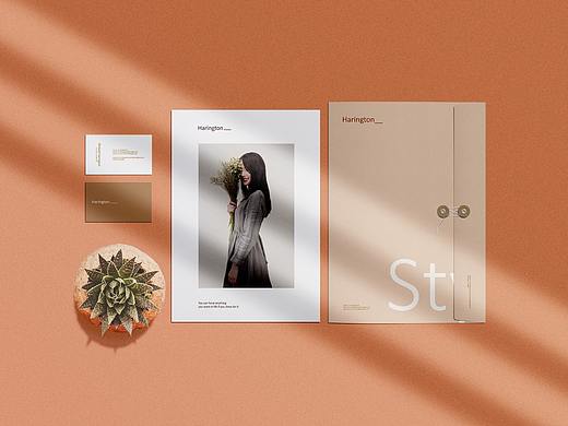 VI办公系列样机