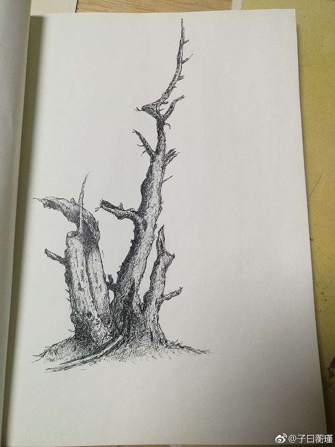绘画练习（部分临摹）（图ZMjM1MTI2NDM2） - 艺术插画 - 站酷设计师沧诺菩提原创素材 - 站酷ZCOOL