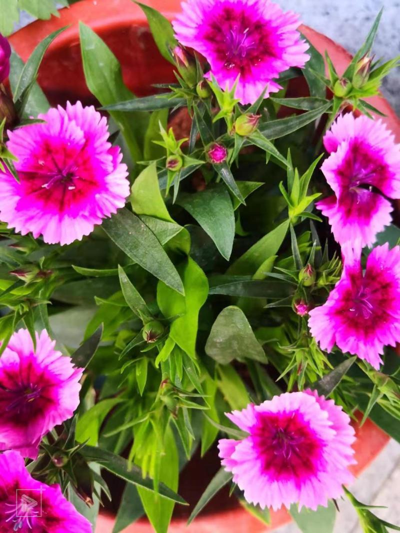 xue505的個(gè)人主頁（背景預(yù)覽） - 主頁背景設(shè)置 - 站酷設(shè)計(jì)師xue505原創(chuàng)素材 - 站酷ZCOOL