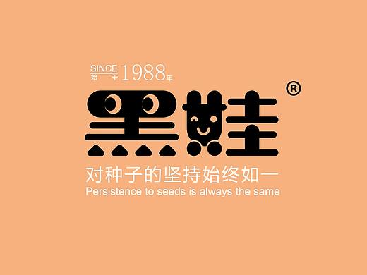华人平面设计产品策划图片赏析--黑娃瓜子
