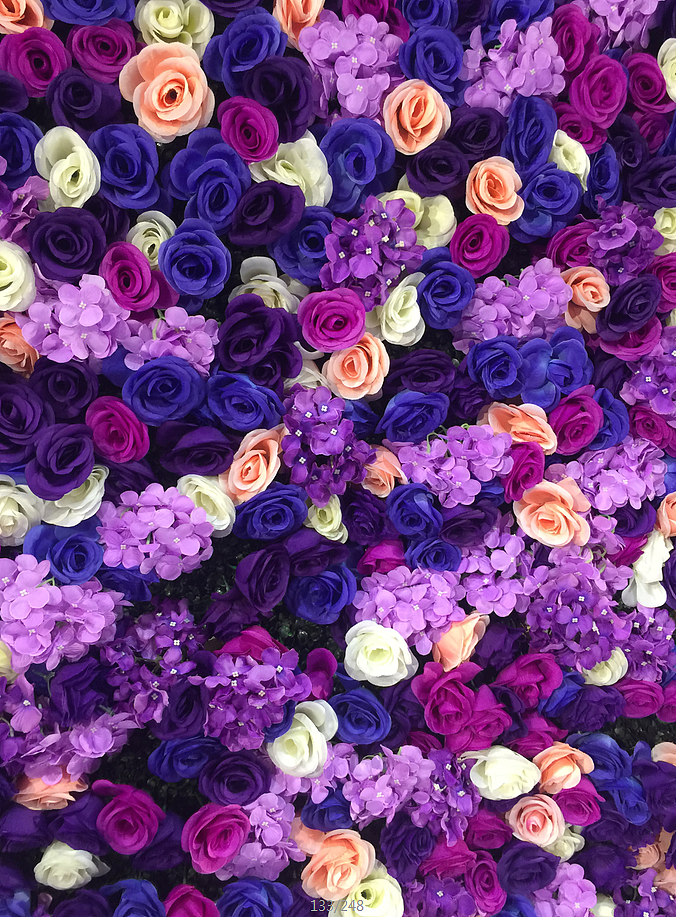 网红色廊-15空间不色不潮 拍到你不要不要