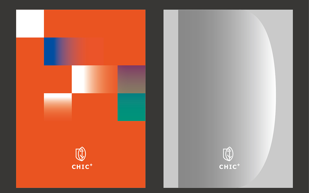 CHIC+大健康概念品牌设计（图ZMjY2MDU2MTc2） - 品牌 - 站酷设计师lanoad原创素材 - 站酷ZCOOL