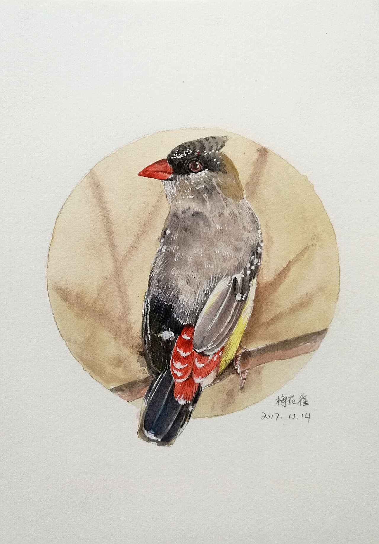 水彩画一美丽的小鸟