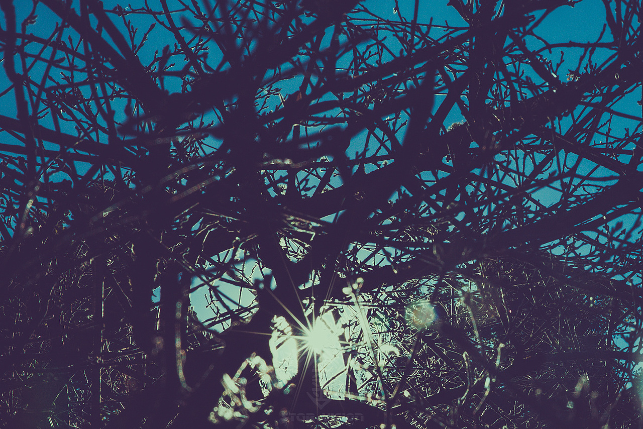 南国 有水也有光