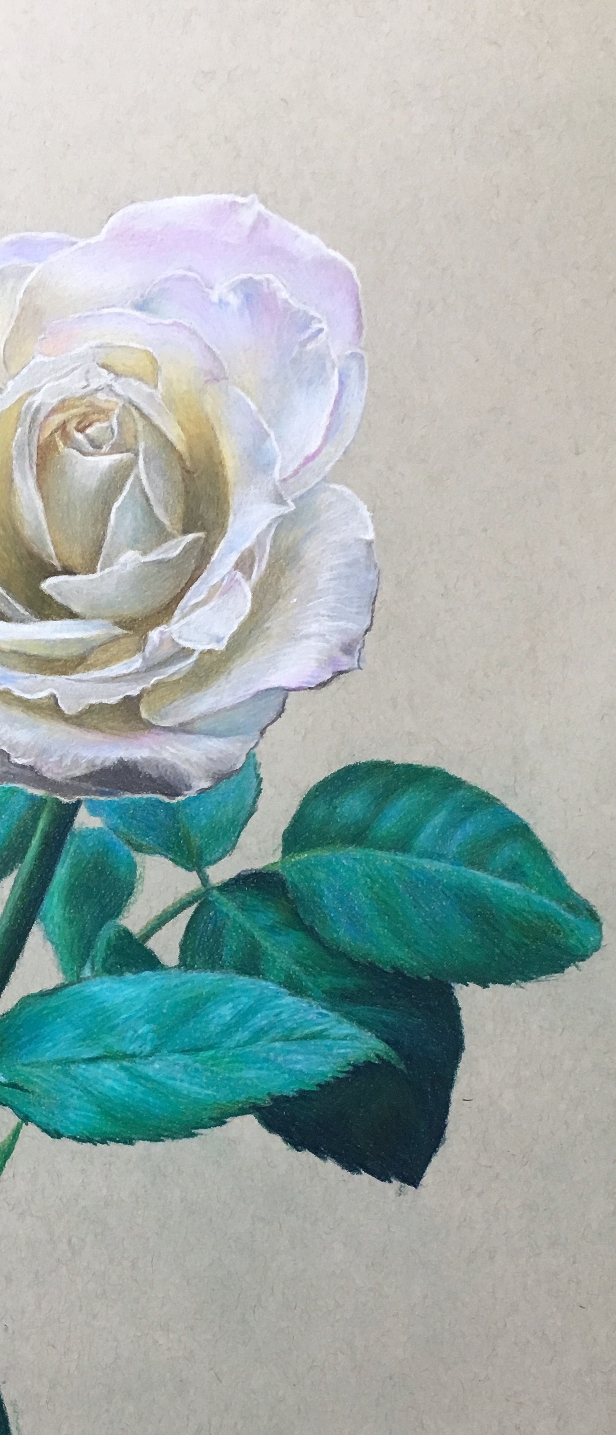 《纯洁·天真》|安德老师彩铅作品（图ZMTc4NzU4NTQ4） - 绘画 - 站酷设计师Art安德原创素材 - 站酷ZCOOL