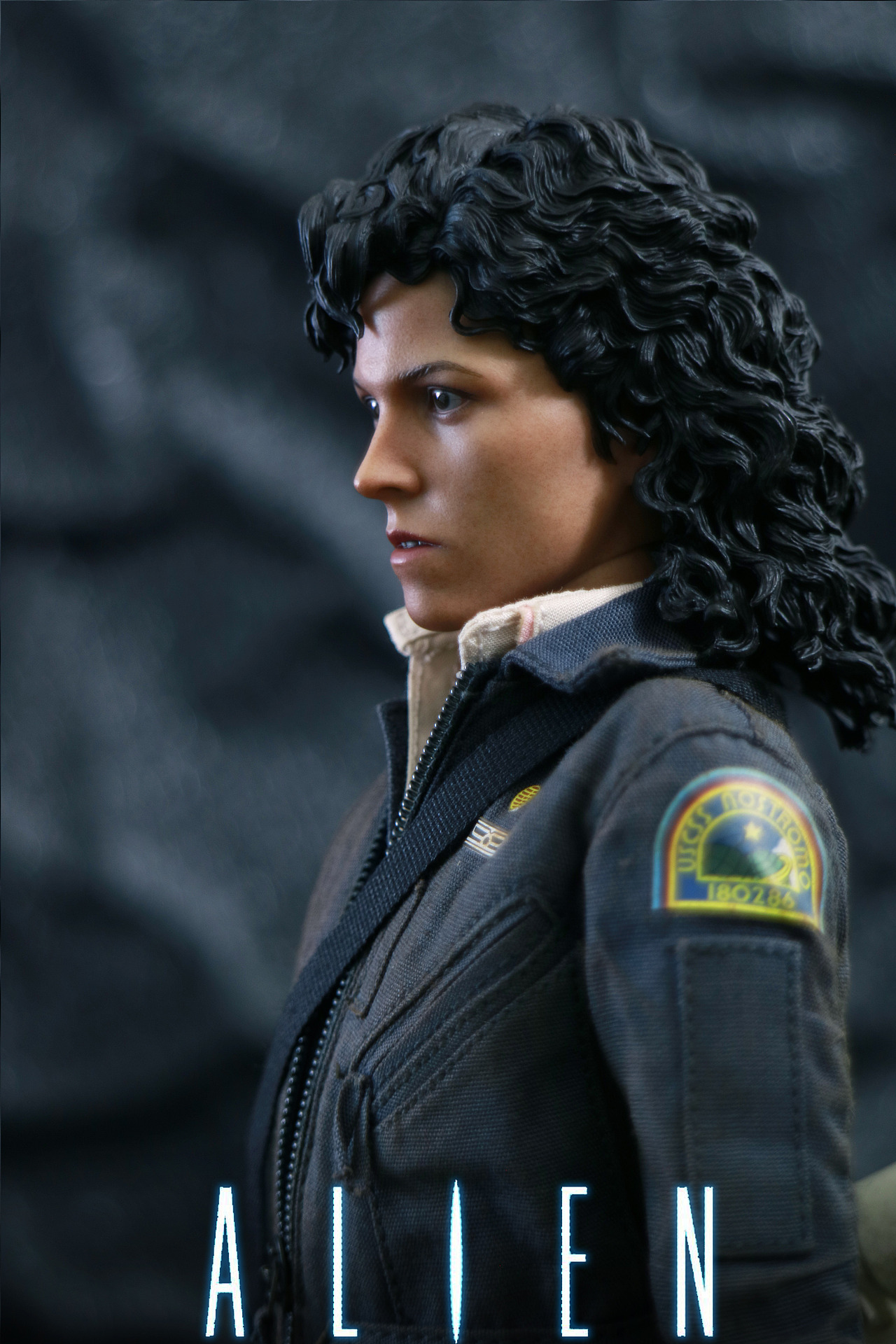 hot toys 异形 瑞普利