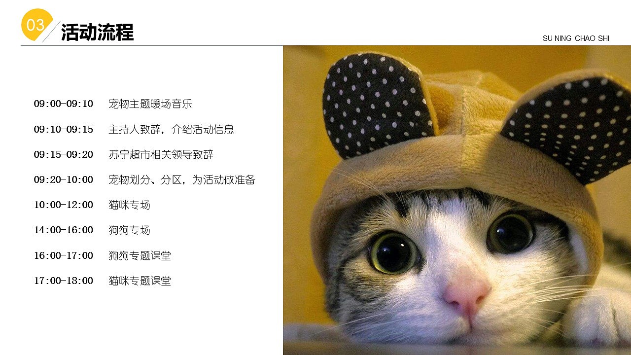 苏宁宠物相亲节（图ZMjg2OTQ5OTg4） - 其他 - 站酷设计师策划米饭原创素材 - 站酷ZCOOL