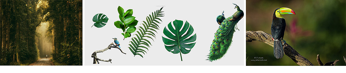 周练-简单的合成（二）（图ZNzYxNjY0NjQ=） - 电商 - 站酷设计师AK小渣原创素材 - 站酷ZCOOL