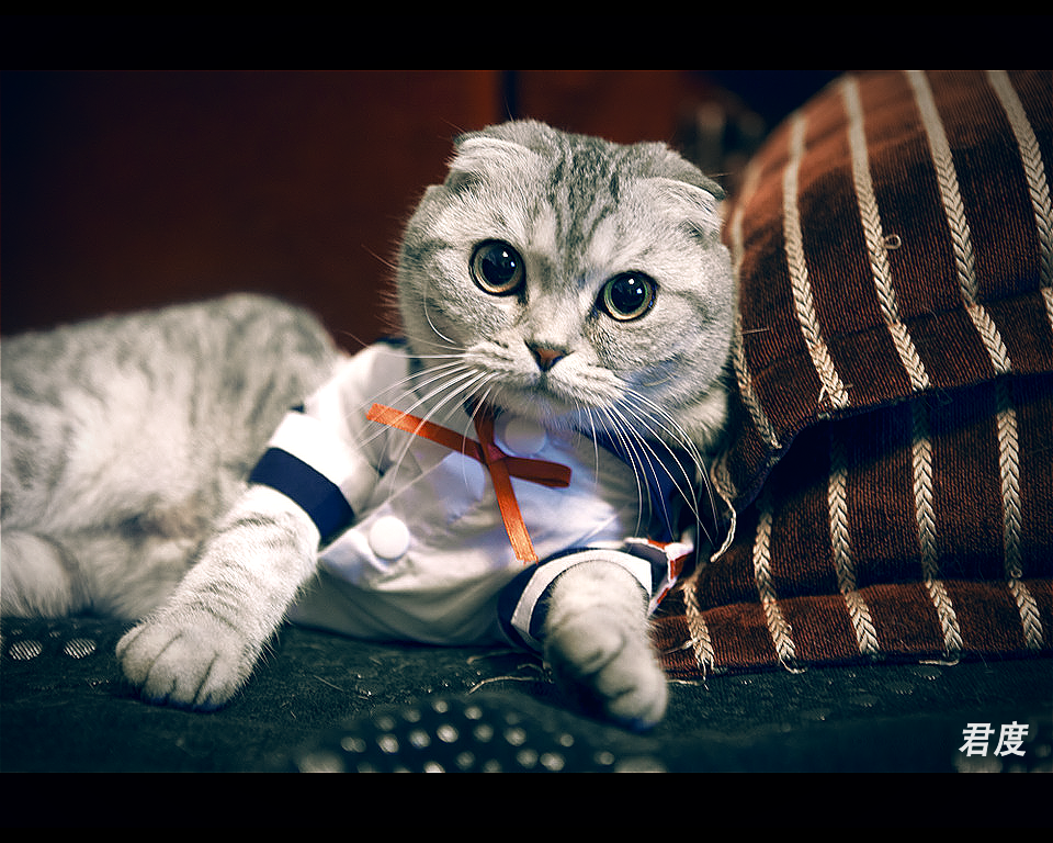 原创作品:AE人像调色教程