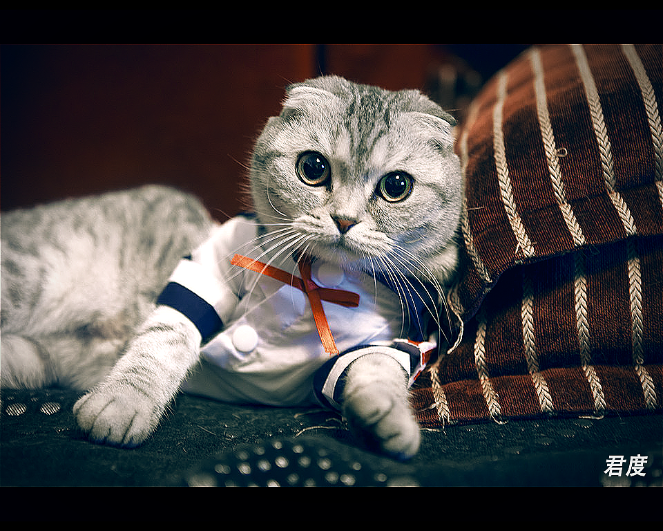 AE人像调色教程