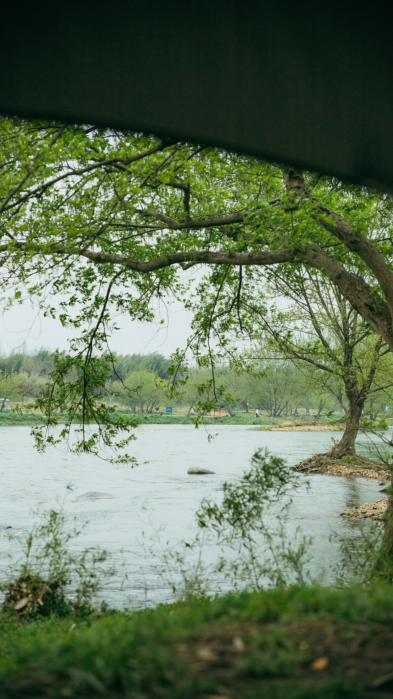 0326苕溪边露营记录（图ZMjk0ODExMzIw） - 风光摄影 - 站酷设计师蒙蒙酱原创素材 - 站酷ZCOOL