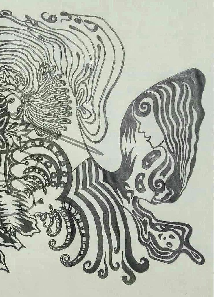 蝴蝶姑娘变成了一只卡申夫鬼美人凤蝶