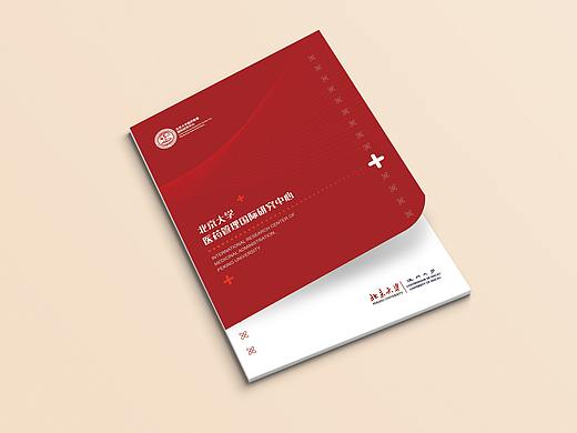北京大学药学院系列画册设计