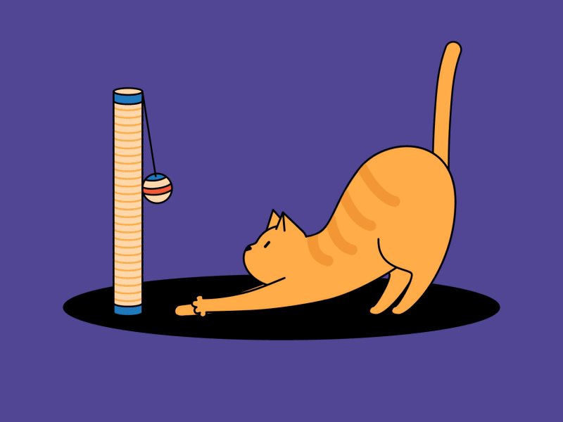 😺我的猫（图ZMTU0NTk4ODA0） - 其他 - 站酷设计师motioncolin原创素材 - 站酷ZCOOL